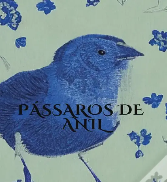 Os Pássaros de Anil de Rogélia Maria Proença